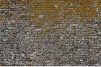 wall bricks overgrown moss 0004